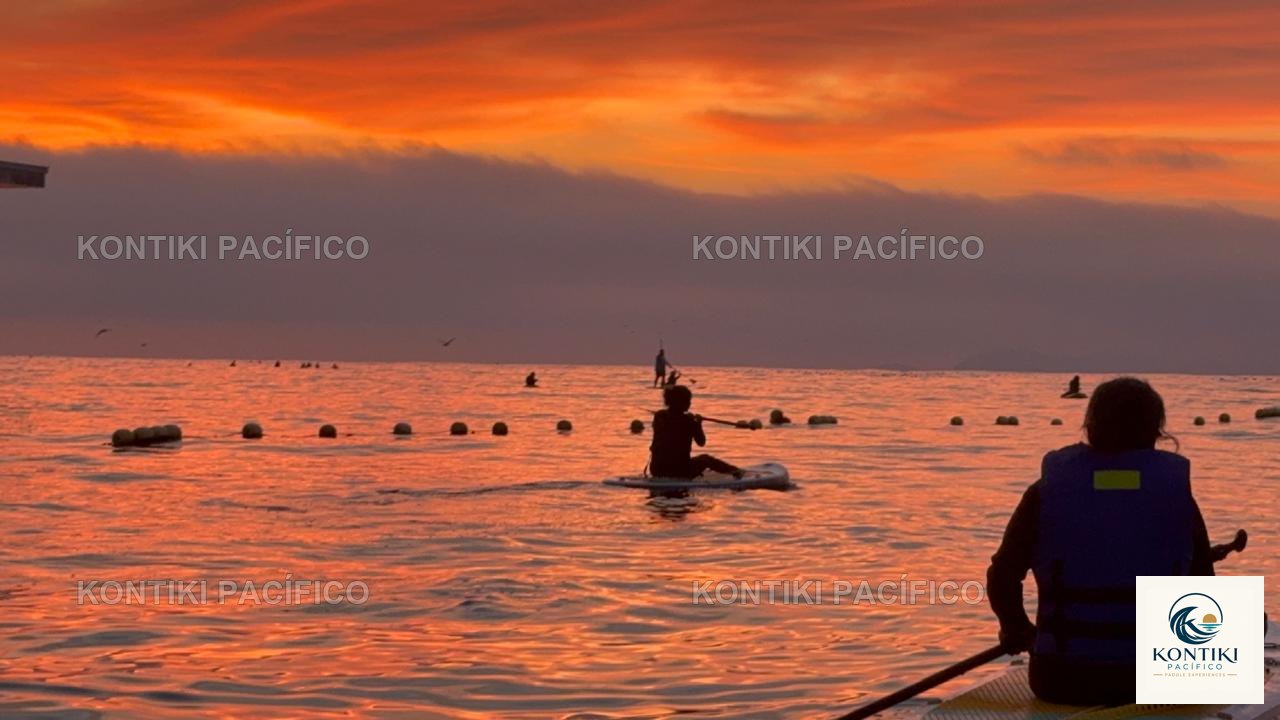 Grupo en tablas de paddle frente al cielo de atardecer